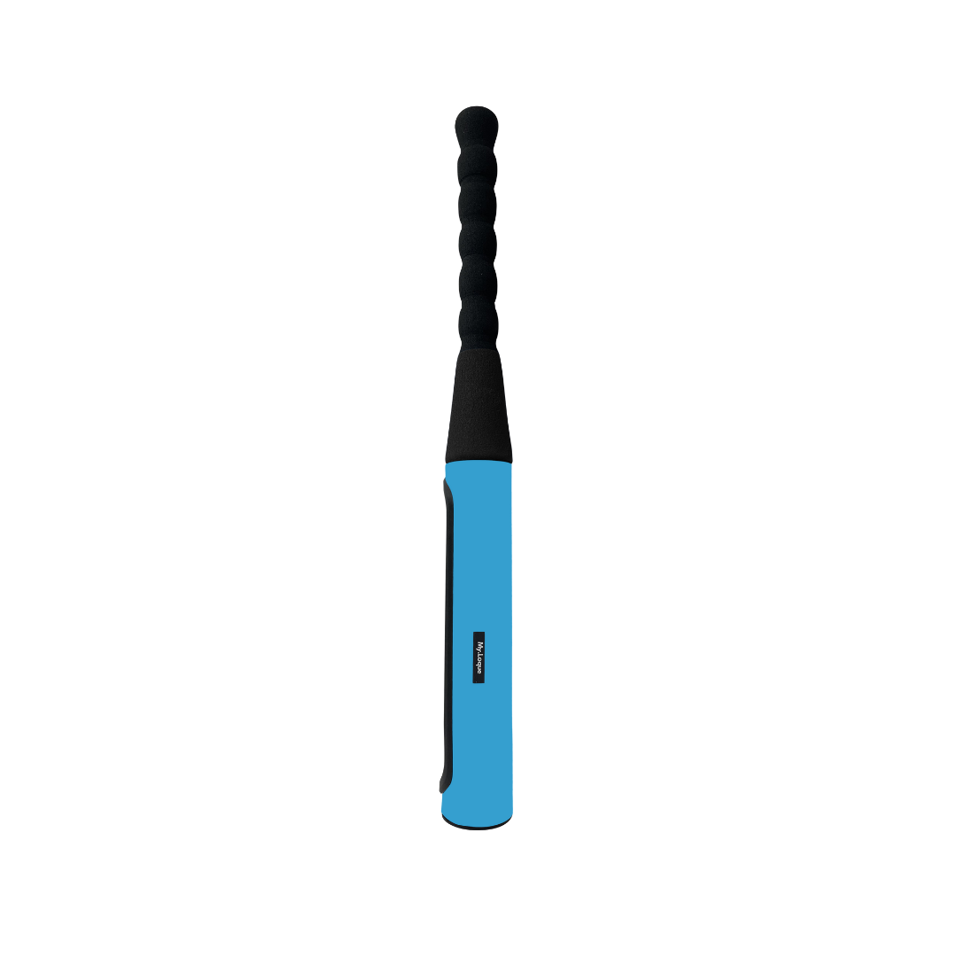 The Baseball Bat Steering Lock