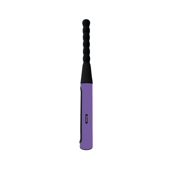 The Baseball Bat Steering Lock