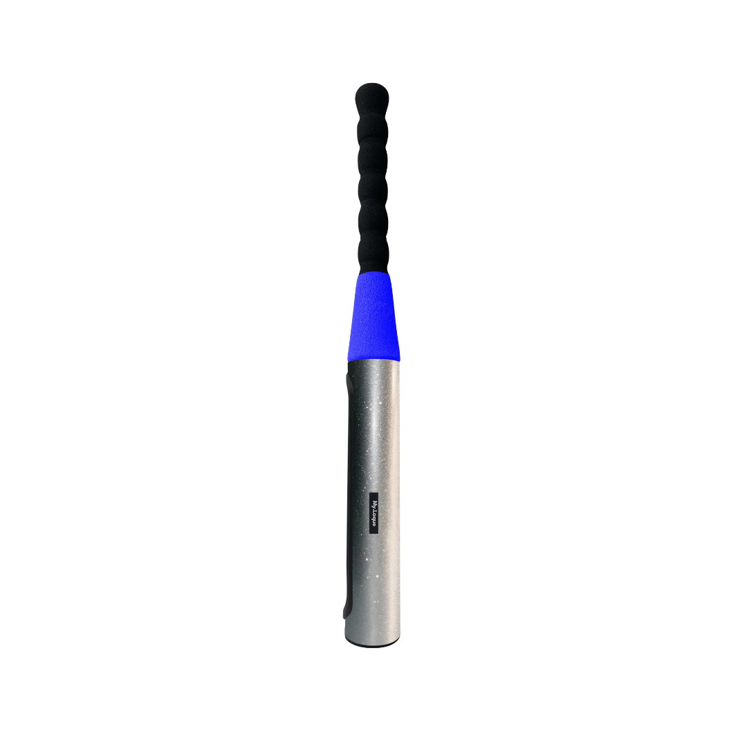 Glitter Gloss - Baseball Bat Steering Lock