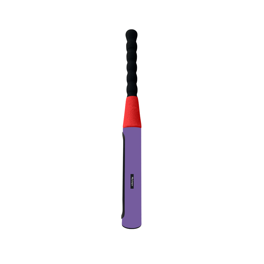 The Baseball Bat Steering Lock