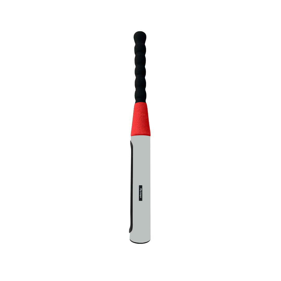 The Baseball Bat Steering Lock