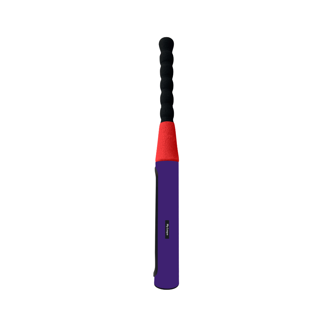 The Baseball Bat Steering Lock