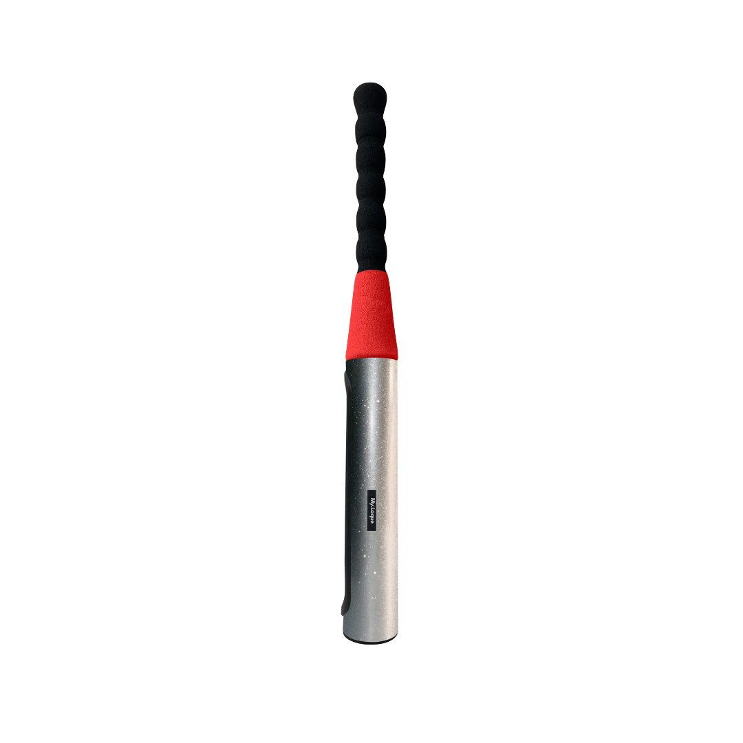 Glitter Gloss - Baseball Bat Steering Lock
