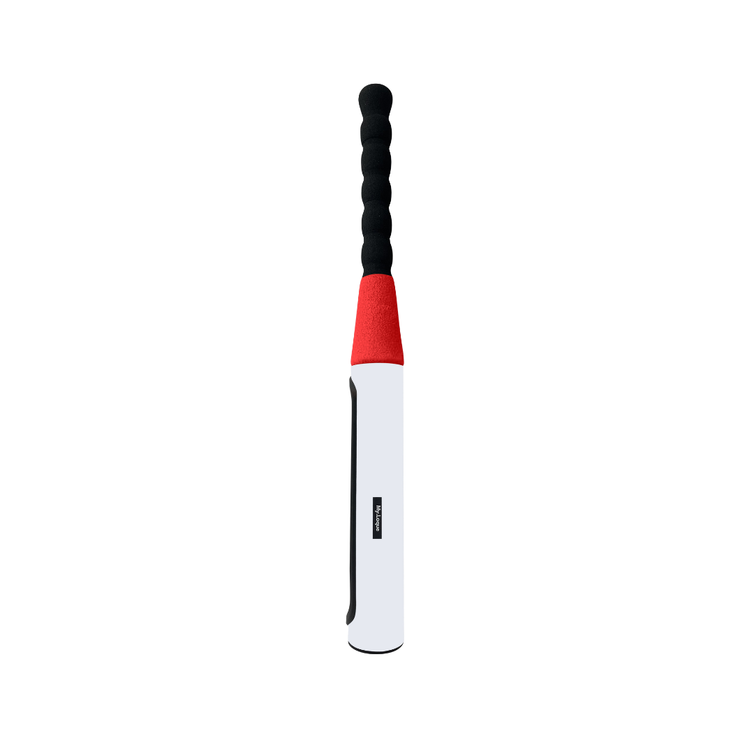 The Baseball Bat Steering Lock