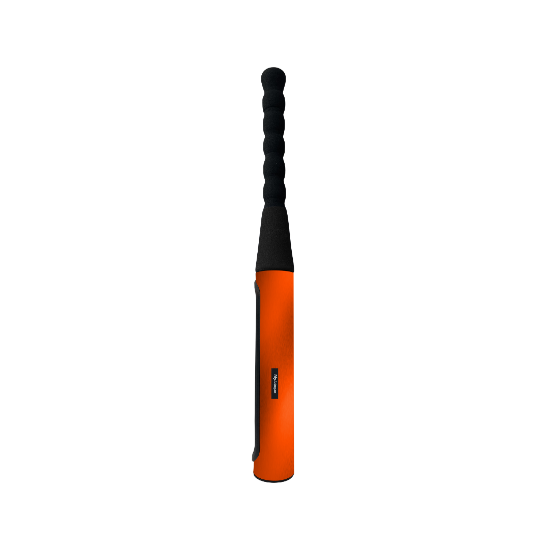 The Baseball Bat Steering Lock