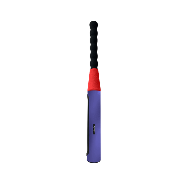 The Baseball Bat Steering Lock