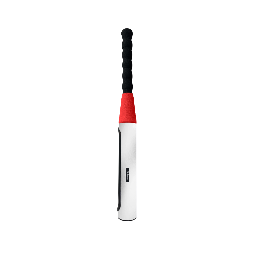 The Baseball Bat Steering Lock