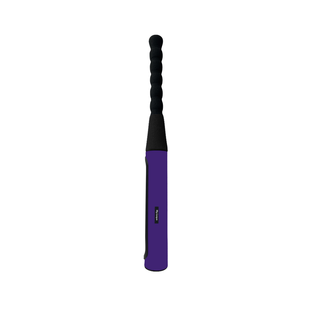 [B2B] The Baseball Bat Steering Lock