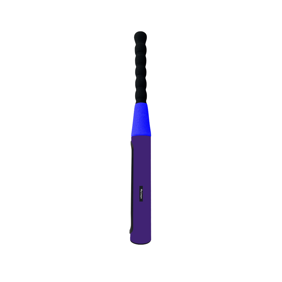 [B2B] The Baseball Bat Steering Lock