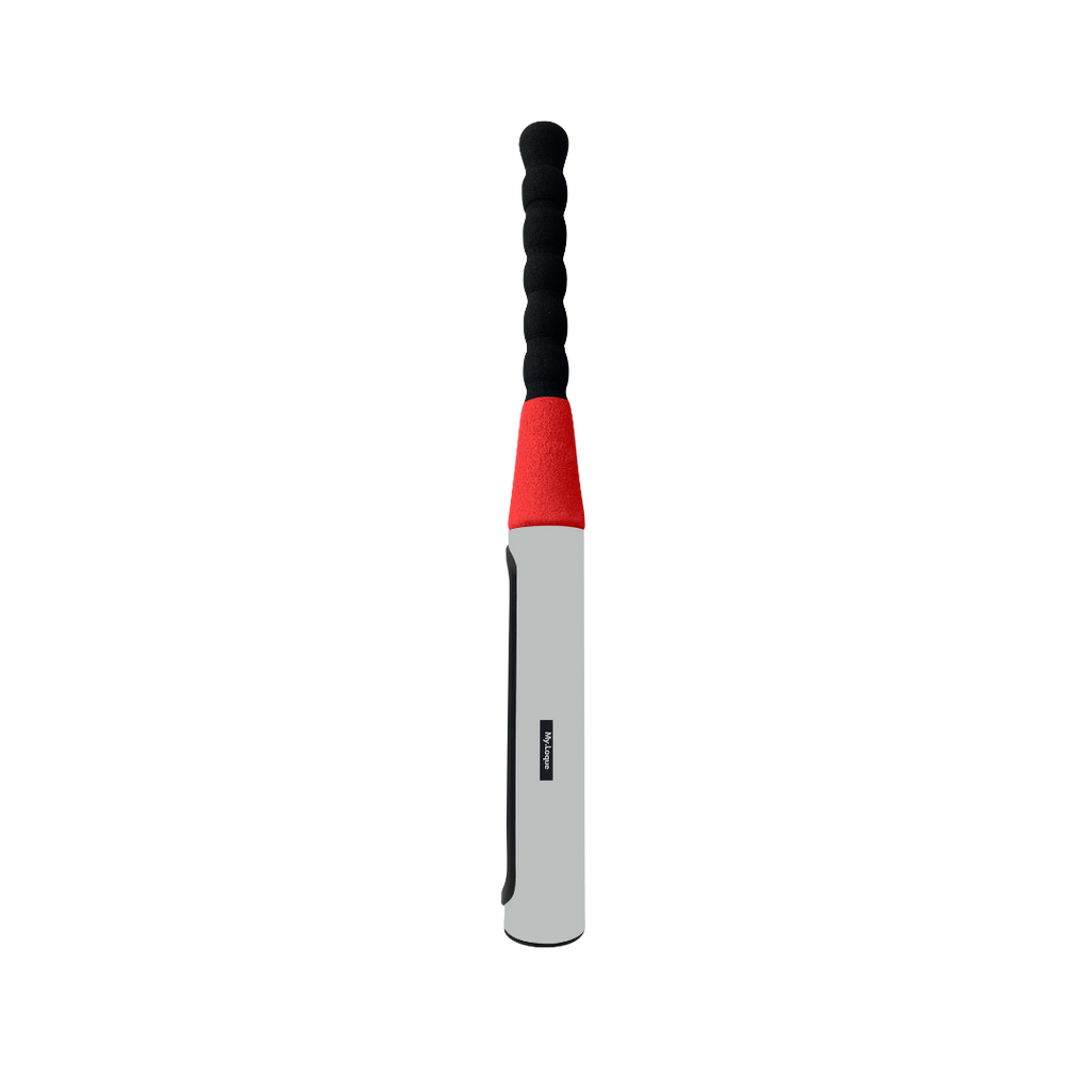 [B2B] The Baseball Bat Steering Lock