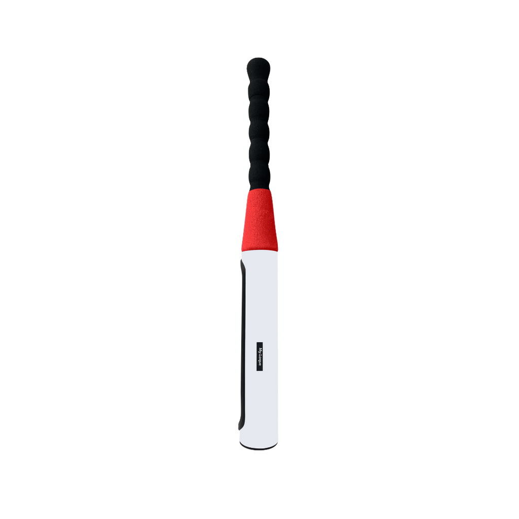 [B2B] The Baseball Bat Steering Lock
