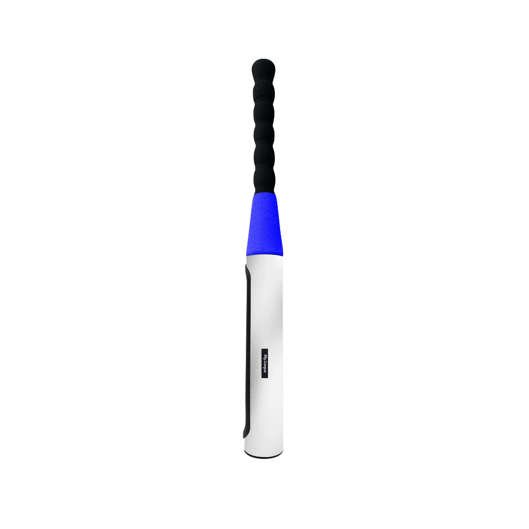[B2B] The Baseball Bat Steering Lock