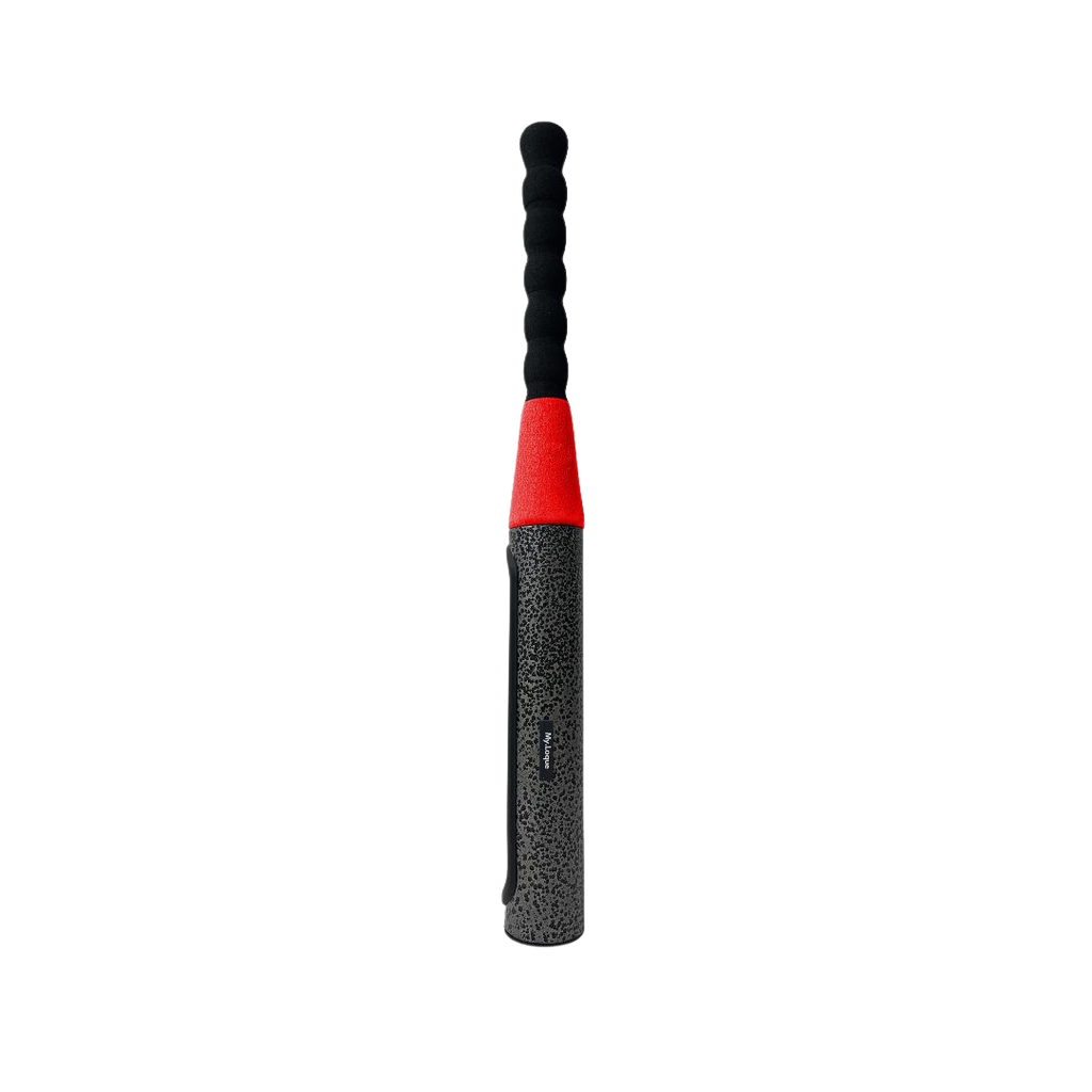 [B2B] The Baseball Bat Steering Lock