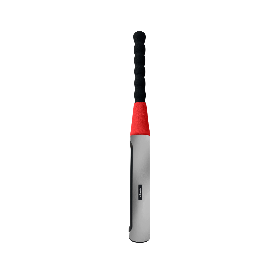 [B2B] The Baseball Bat Steering Lock